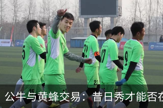 公牛与黄蜂交易：昔日秀才能否在新环境中绽放光彩？