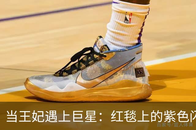 当王妃遇上巨星：红毯上的紫色闪耀